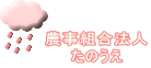 �_���g���@�l ���̂���